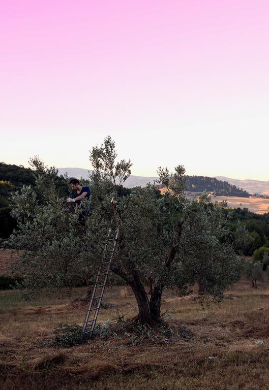 Villa Fonteintanata Miemo Buitenkant foto